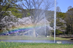 ２０１４．４．４　代々木公園　虹！虹！虹！
