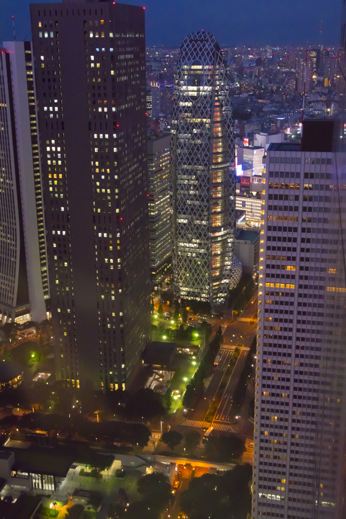 新宿夜景