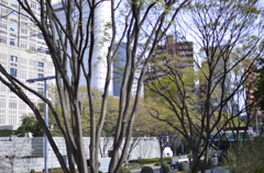都会にも春