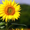 IMG_9999_232
