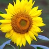 IMG_9999_58