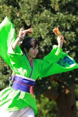 よさこい3