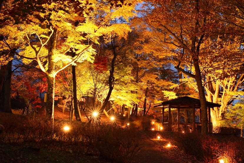 山中湖紅葉２