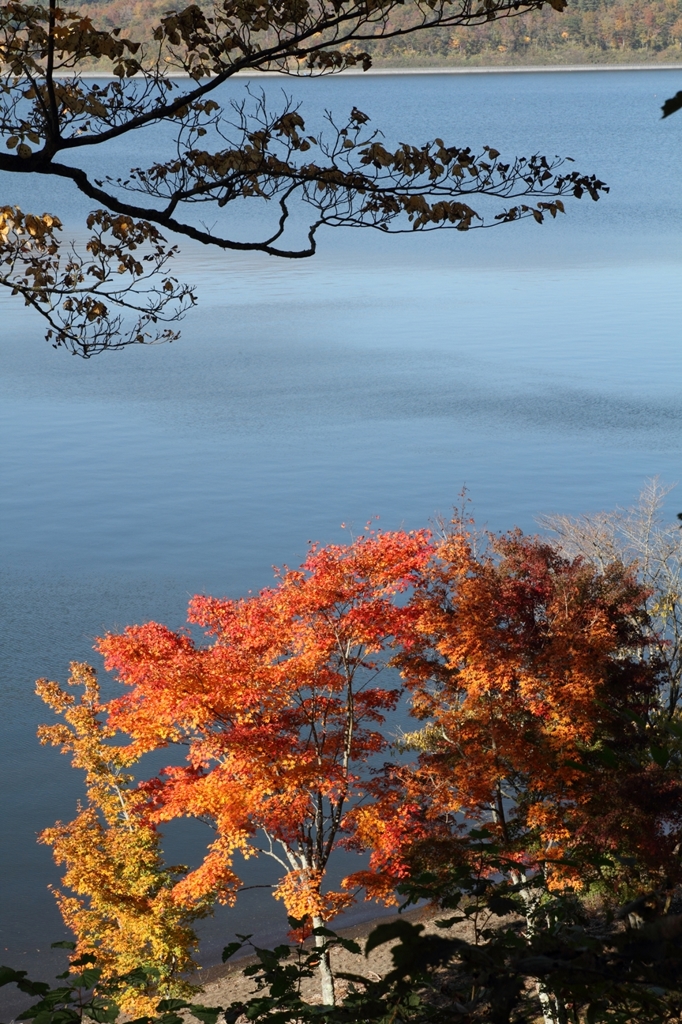 湖畔の紅葉2