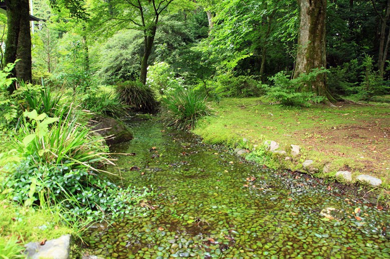 岸邸水Ⅰ