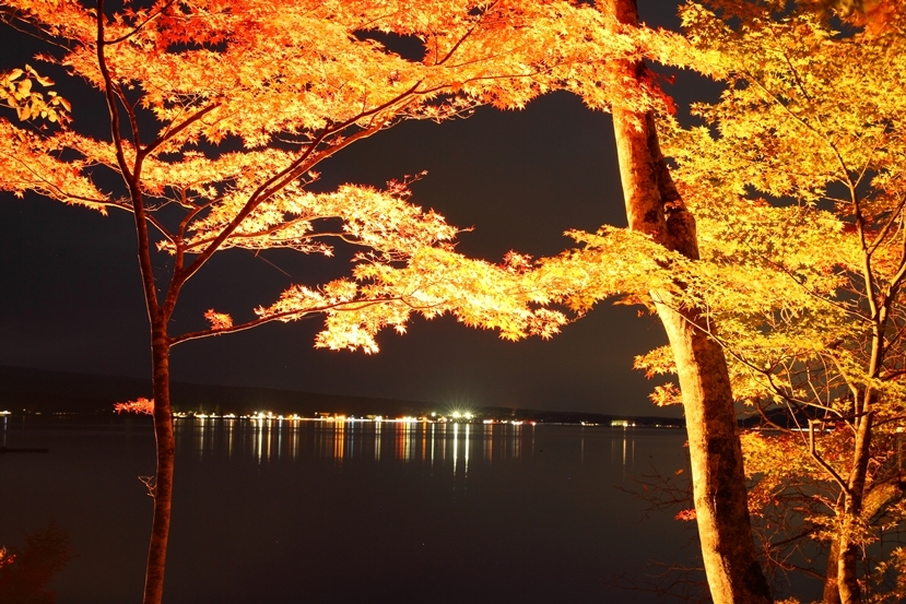 山中湖紅葉３