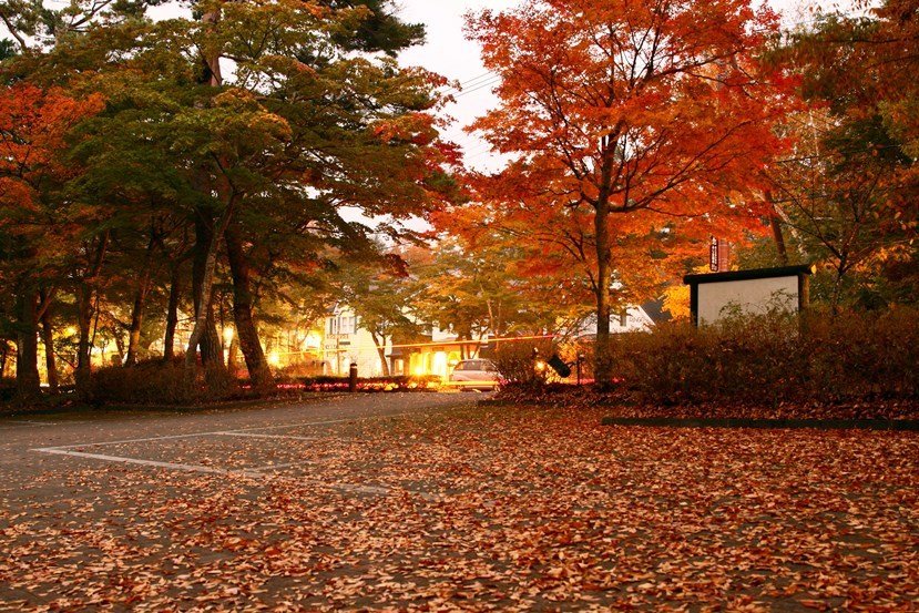 山中湖紅葉５