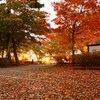 山中湖紅葉５