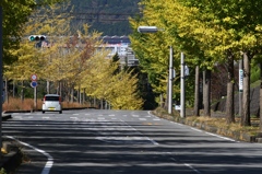我が町紅葉