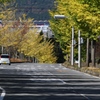 我が町紅葉