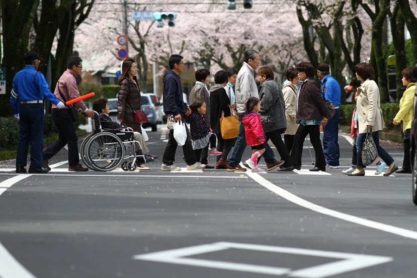 桜見物行き帰り