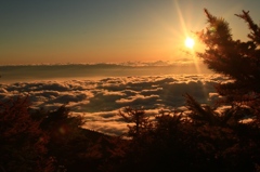 夕日に染まる雲海2