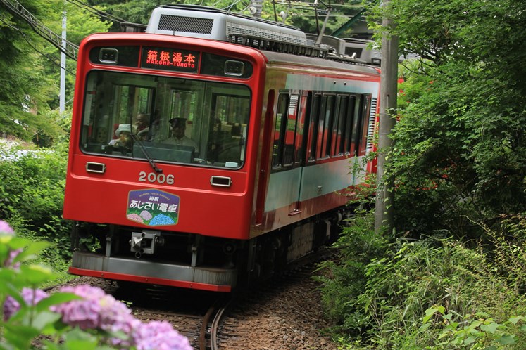 紫陽花と電車Ⅵ