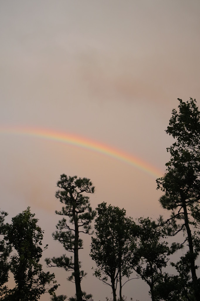 "The Rainbow Connection"
