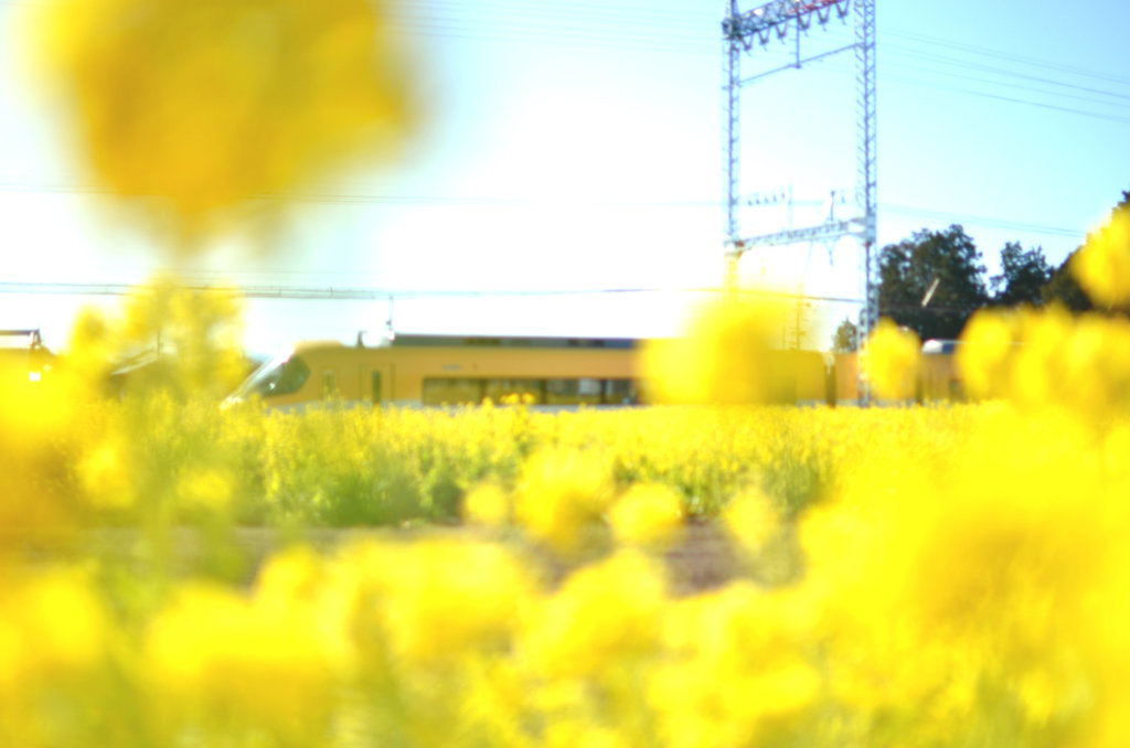yellow☆