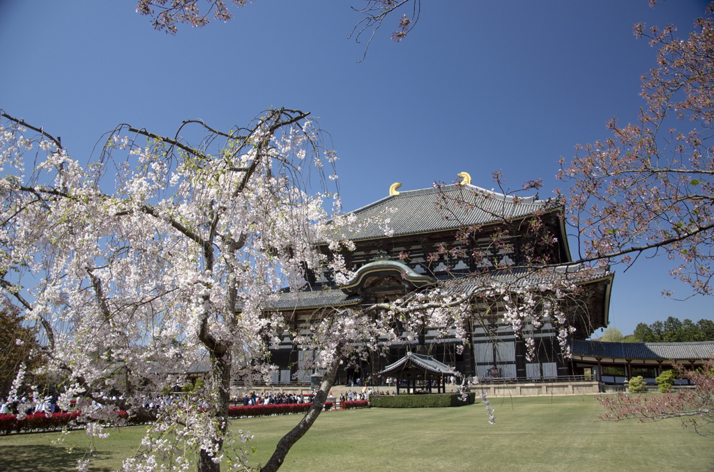 東大寺