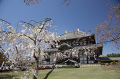 東大寺