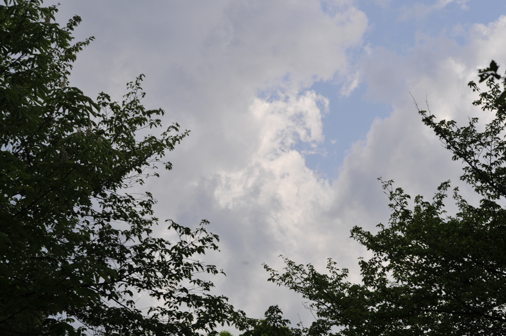 空と雲