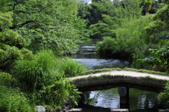 向島百花園の池