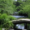 向島百花園の池