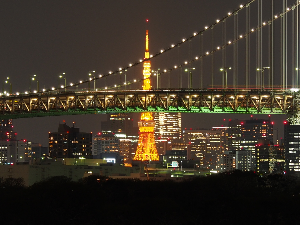 レインボーブリッジ越しの東京タワー