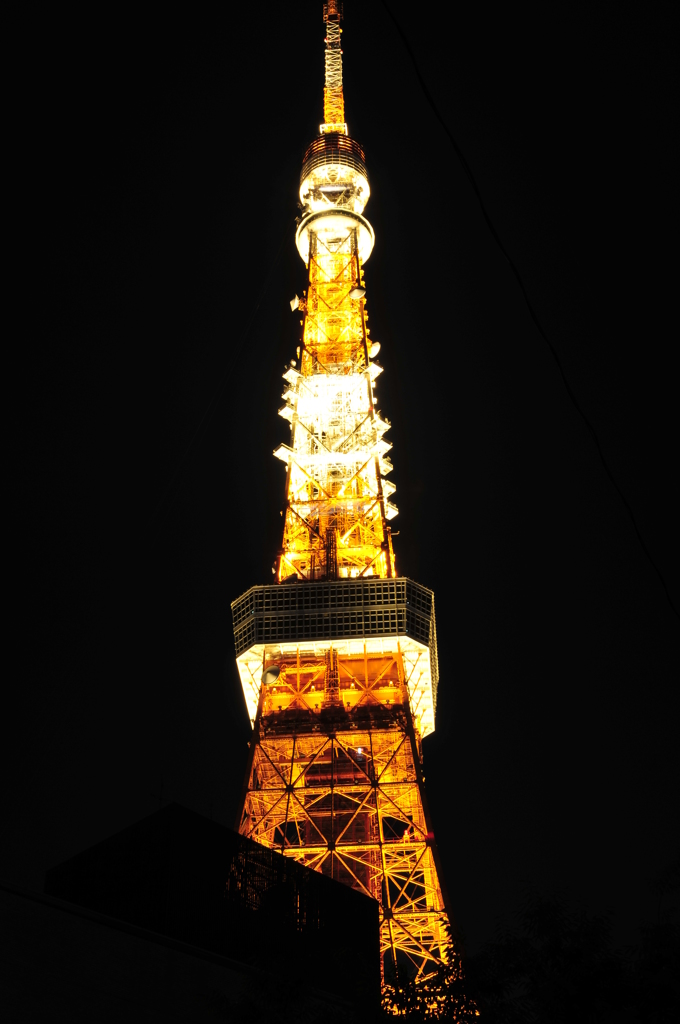 東京タワーによじ登れ！