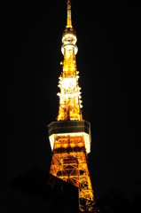 東京タワーによじ登れ！