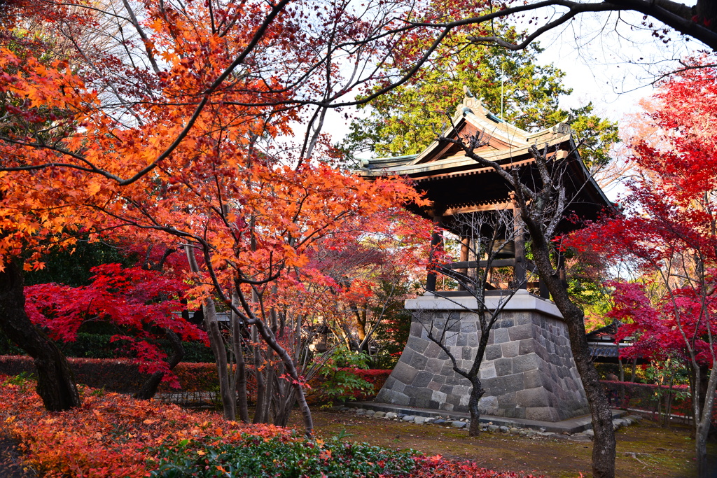 平林寺２