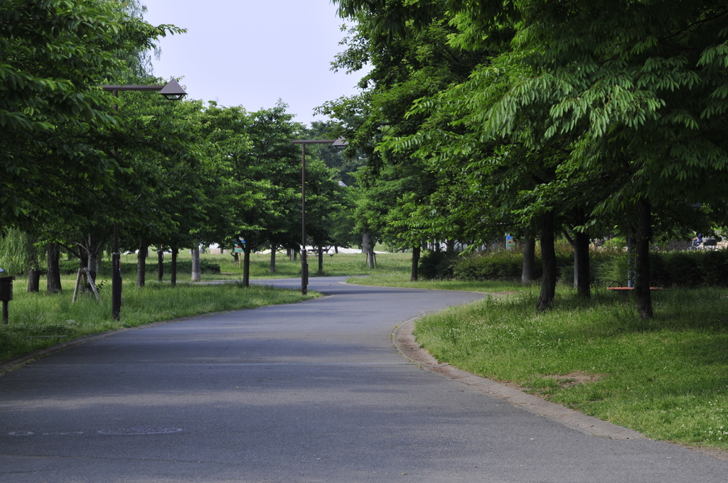 緑の散歩道（舎人公園）