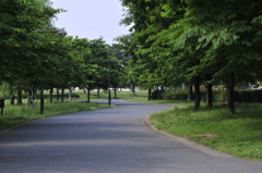 緑の散歩道（舎人公園）