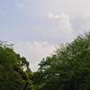 空と雲