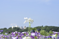 空に向かって
