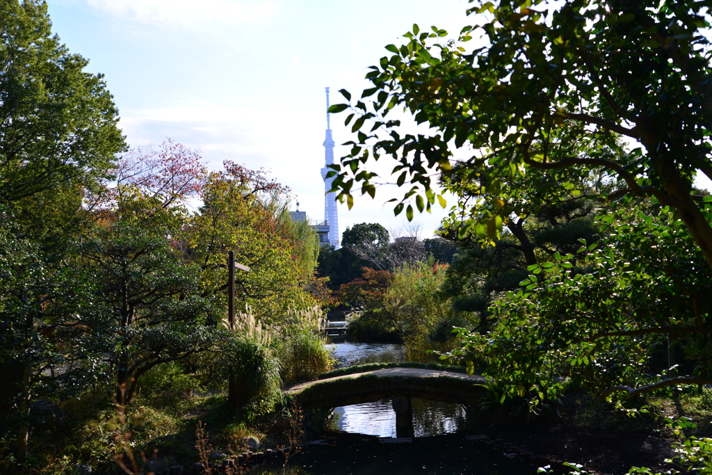 向島百花園１