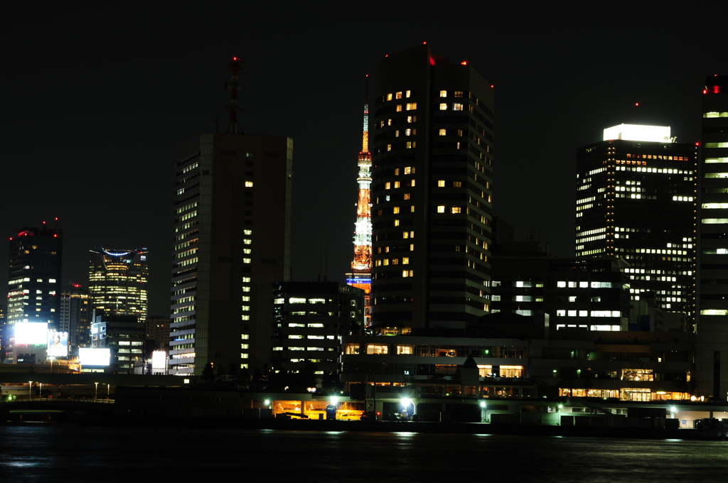 豊海水産埠頭からの夜景２