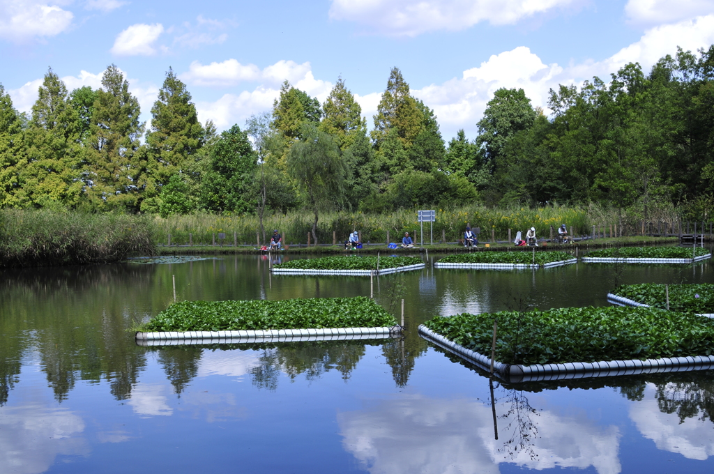 とある公園の風景