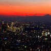 Night View From Sky Tree