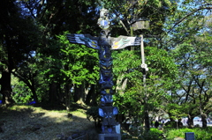 上野公園スナップ２