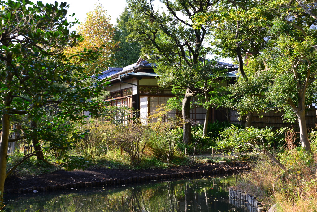 向島百花園２