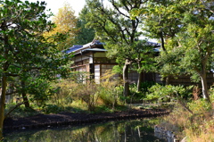 向島百花園２