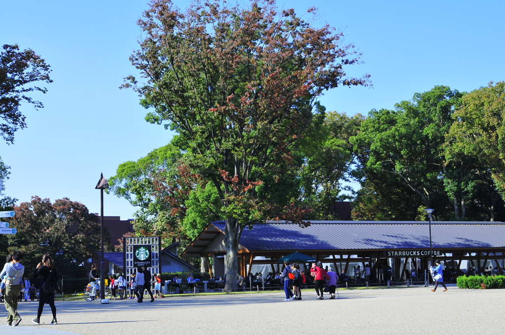 上野公園スナップ３