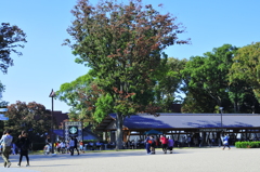 上野公園スナップ３
