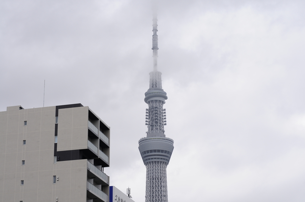 スカイツリーと台風の雲
