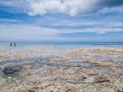 ひでおの海