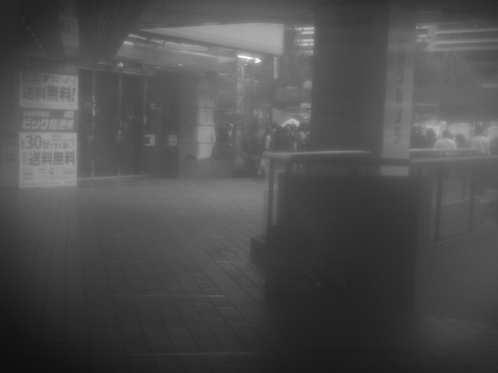 陽の当たらない場所にこそ