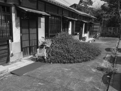 迫りくる荒廃