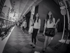 惑わしの交差路