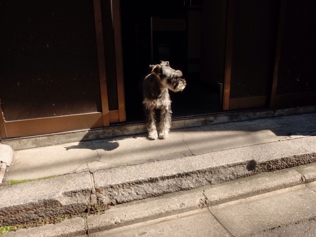 外の空気に