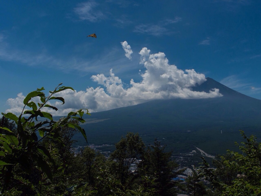 良い日、旅立ち