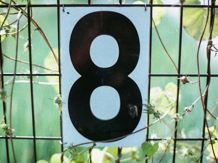 No.8