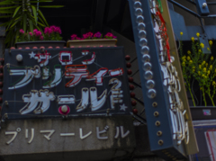 プリティープレイス